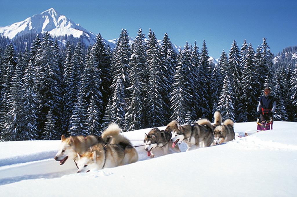 Alpen Select Lodge Kleinwalsertal Riezlern Dış mekan fotoğraf
